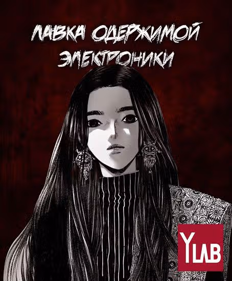 Лавка одержимой электроники — обложка, читать онлайн