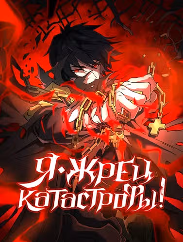 Жрец катастрофы — обложка, читать онлайн