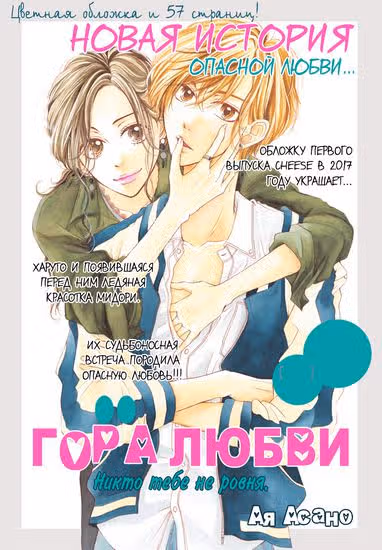 Гора любви — обложка, читать онлайн
