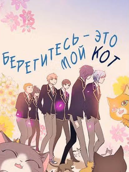 Берегитесь – это мой кот — обложка, читать онлайн
