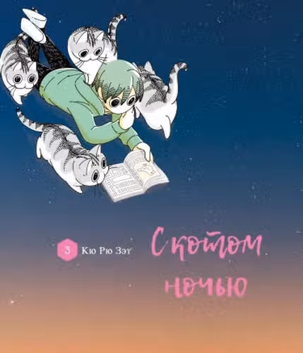 С котом ночью — обложка, читать онлайн