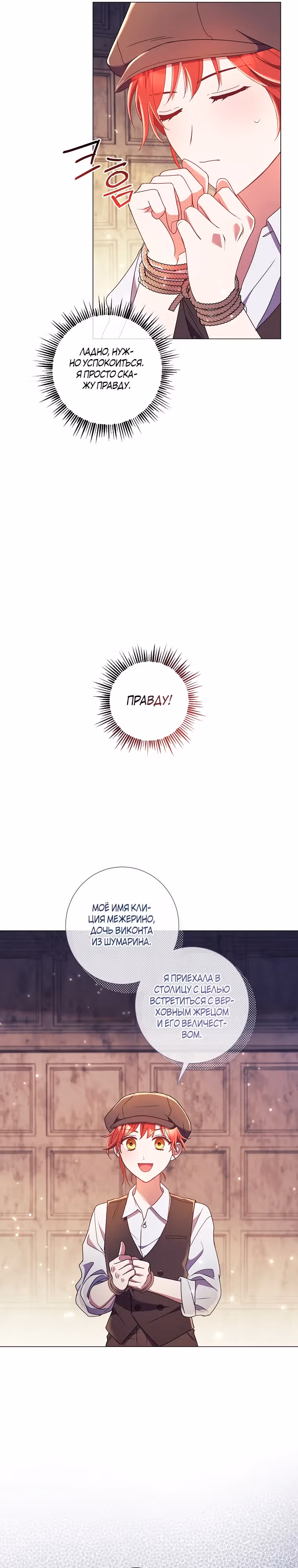 Ваше величество, о каком разводе речь, если мы даже не женаты? — Том 1 · Глава 12, страница 29