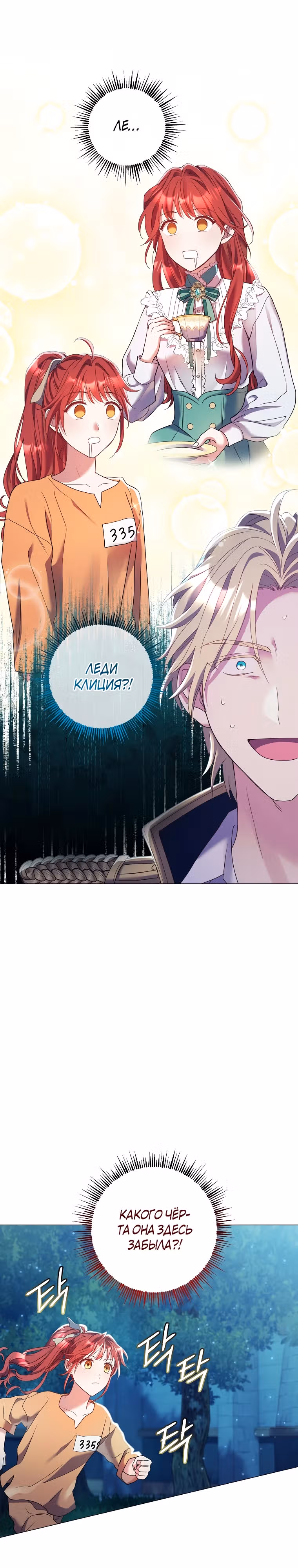 Ваше величество, о каком разводе речь, если мы даже не женаты? — Том 1 · Глава 14, страница 29