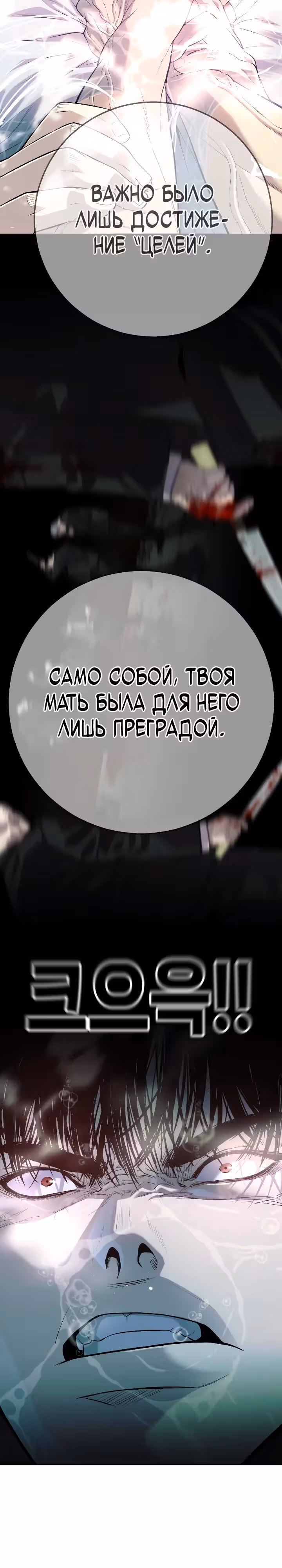 Возмездие сына — Том 1 · Глава 25, страница 17