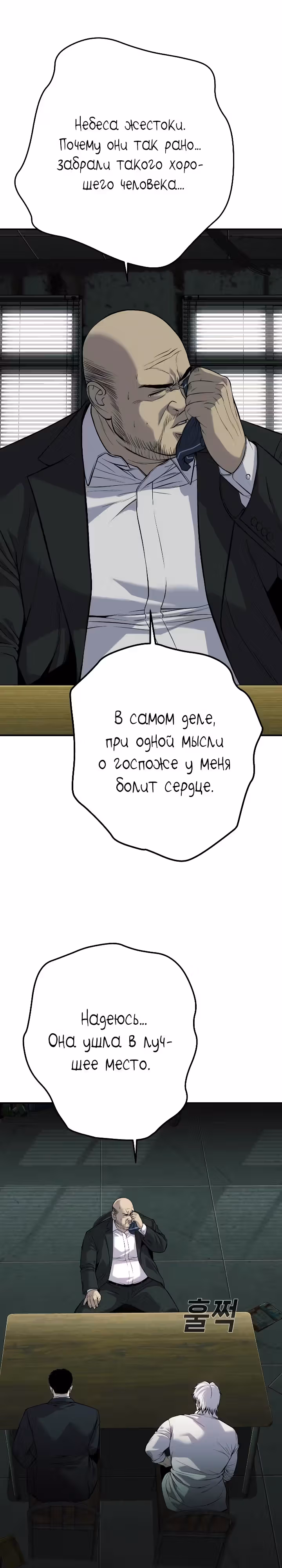 Возмездие сына — Том 1 · Глава 28, страница 20