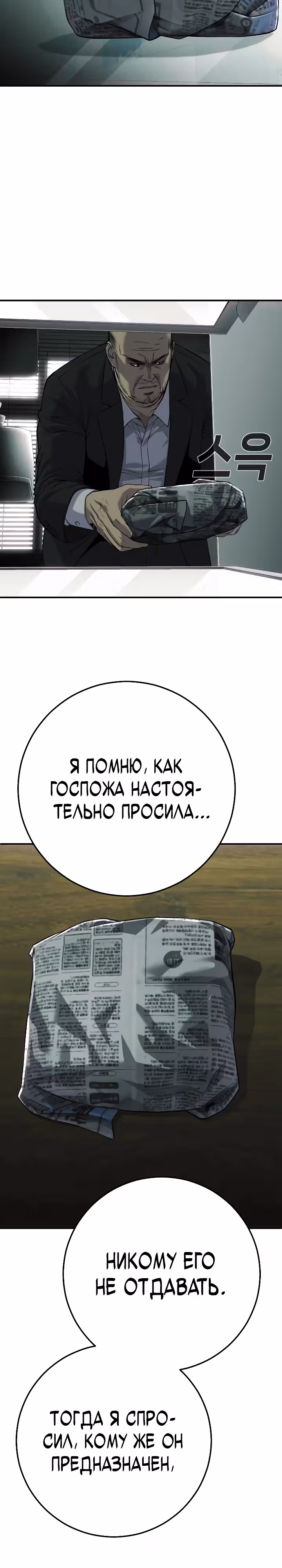 Возмездие сына — Том 1 · Глава 28, страница 25