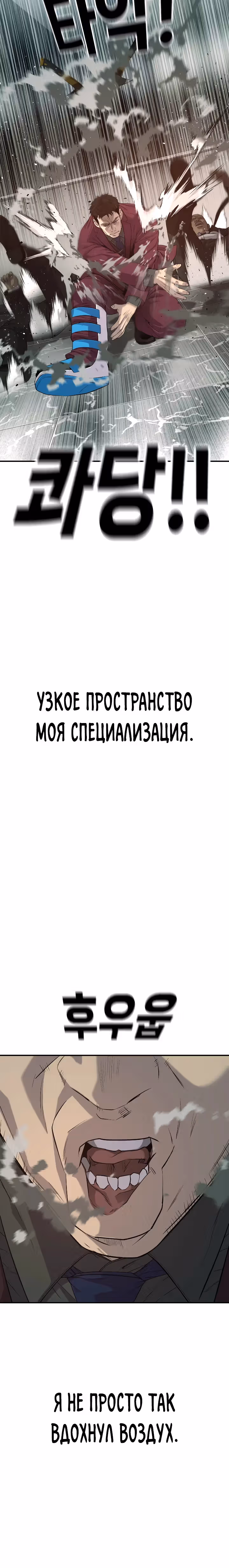 Возмездие сына — Том 1 · Глава 45, страница 17