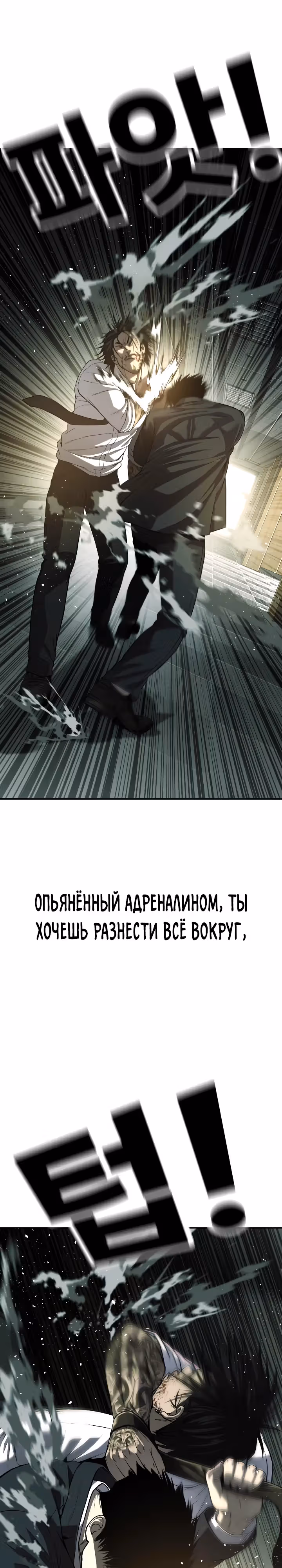 Возмездие сына — Том 1 · Глава 48, страница 13
